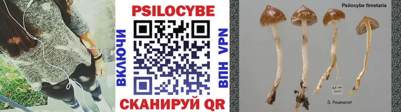 Галлюциногенные грибы MAGIC MUSHROOMS  Купить закладки  Сатка 