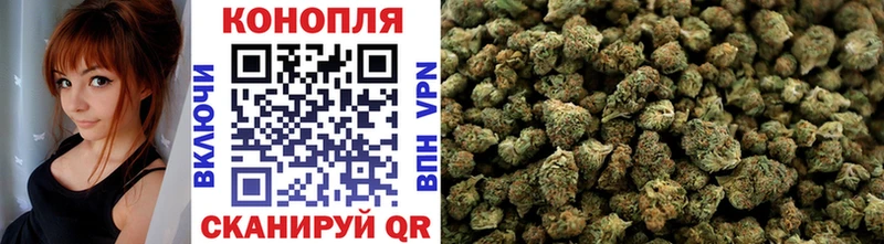 Купить закладки  Сатка  Бошки Шишки сатива 